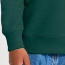 Glazed Green: Moher A1 Organic Kid Sweatshirt